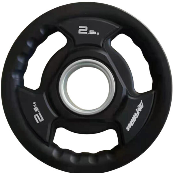 LifeFitness Barbell Plate