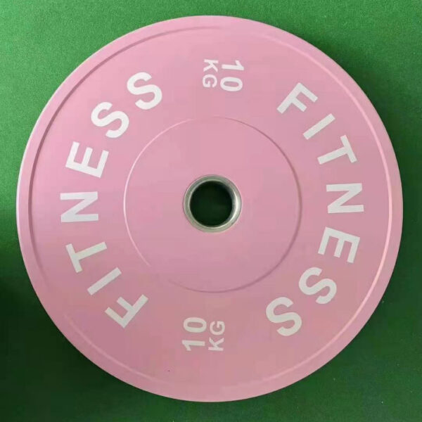 Macaron Color Rubber Plate